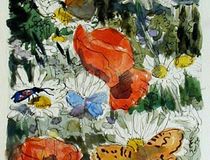 Papillons de France - Agrandir l'image, .JPG 182,5 Ko (fenêtre modale)